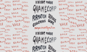 Vincent Marqué Services et Formations