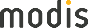Modis Consulting